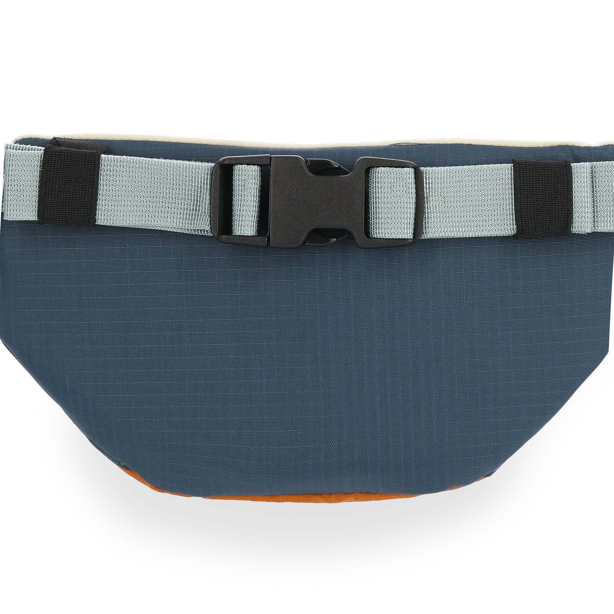 Mountain Waist Pack