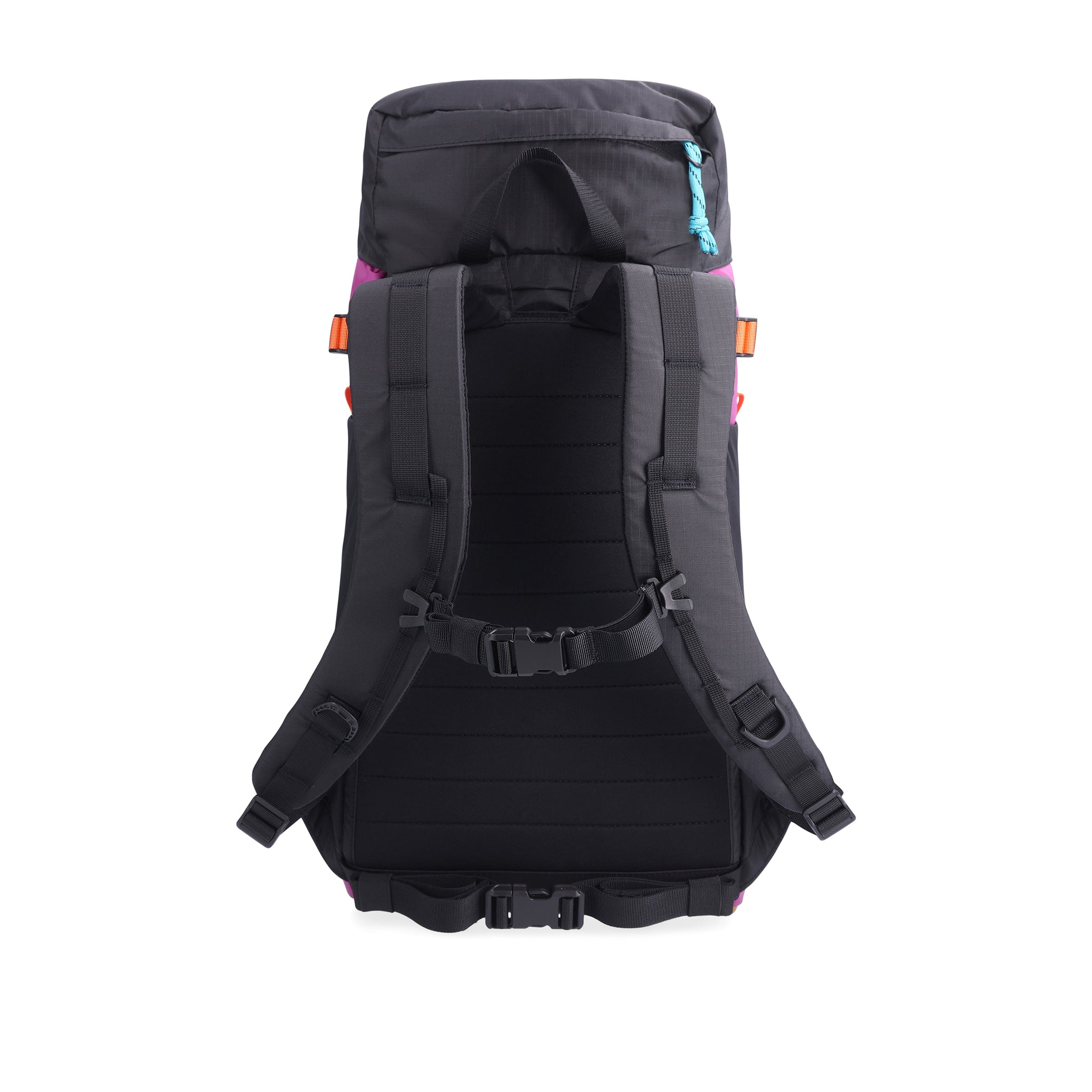 Shot of padded backpack straps and sternum strap on back of Topo Designs Mountain Pack 16L hiking backpack with internal laptop sleeve in lightweight recycled nylon in "Botanic Green / Grape".